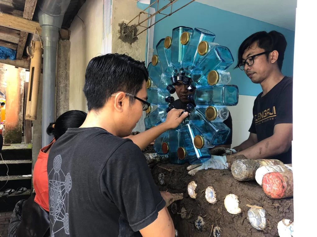 Project 336 was completed in Ubud and started on March 18, 2020