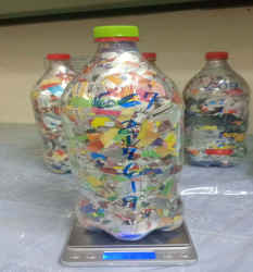 Ecobrick 217619