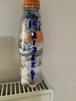 Ecobrick 217684